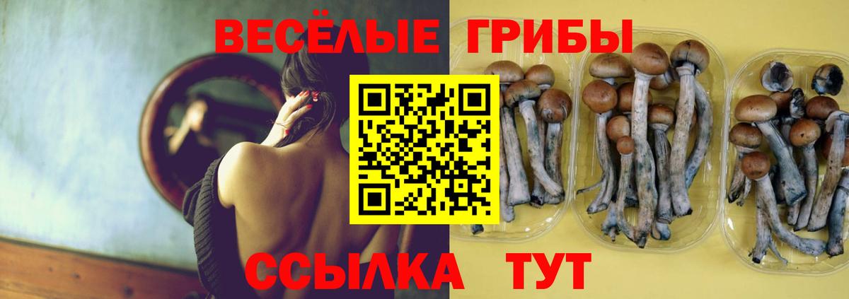 Галлюциногенные грибы MAGIC MUSHROOMS  Вход с VPN  Чехов 